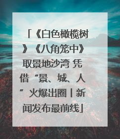 《白色橄榄树》《八角笼中》取景地沙湾 凭借“景、城、人”火爆出圈丨新闻发布最前线