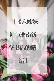 《六姊妹》与淮南新华书店的邂逅