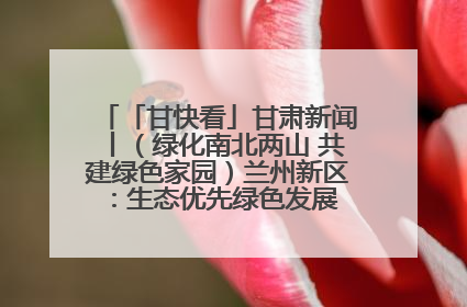 「甘快看」甘肃新闻丨（绿化南北两山 共建绿色家园）兰州新区：生态优先绿色发展 打造生态环保示范区