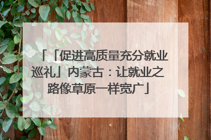 「促进高质量充分就业巡礼」内蒙古：让就业之路像草原一样宽广