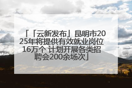 「云新发布」昆明市2025年将提供有效就业岗位16万个 计划开展各类招聘会200余场次