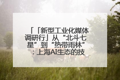 「新型工业化媒体调研行」从“北斗七星”到“热带雨林”：上海AI生态的技术商业共生密码