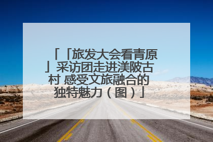 「旅发大会看青原」采访团走进渼陂古村 感受文旅融合的独特魅力（图）