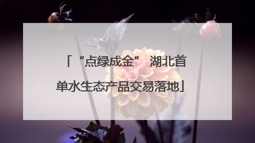 “点绿成金” 湖北首单水生态产品交易落地