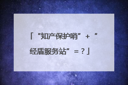 “知产保护哨”+“经盾服务站”=？