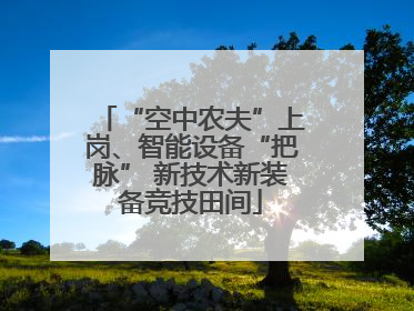 “空中农夫”上岗、智能设备“把脉” 新技术新装备竞技田间