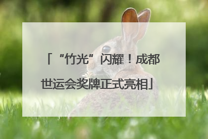 “竹光”闪耀！成都世运会奖牌正式亮相