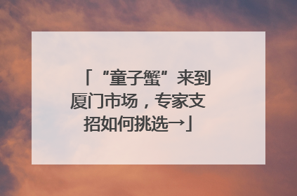 “童子蟹”来到厦门市场，专家支招如何挑选→