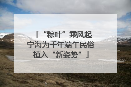 “粽叶”乘风起 宁海为千年端午民俗植入“新姿势”