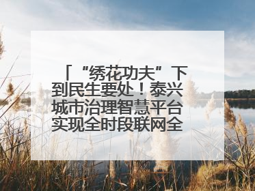 “绣花功夫”下到民生要处！泰兴城市治理智慧平台实现全时段联网全要素细治