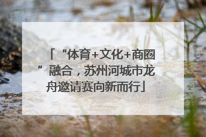 “体育+文化+商圈”融合，苏州河城市龙舟邀请赛向新而行