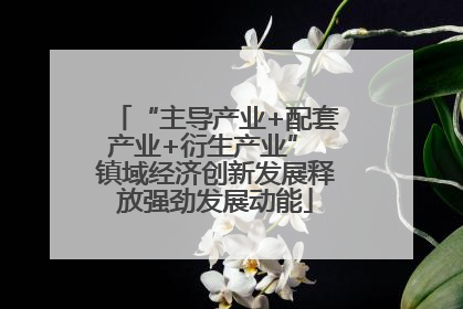 “主导产业+配套产业+衍生产业” 镇域经济创新发展释放强劲发展动能