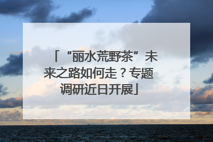 “丽水荒野茶”未来之路如何走？专题调研近日开展