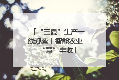 “三夏”生产一线观察丨智能农业“慧”丰收