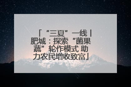 “三夏”一线丨肥城：探索“菌果蔬”轮作模式 助力农民增收致富