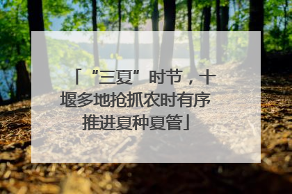 “三夏”时节，十堰多地抢抓农时有序推进夏种夏管