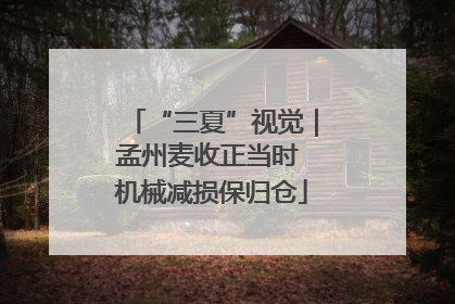 “三夏”视觉｜孟州麦收正当时 机械减损保归仓