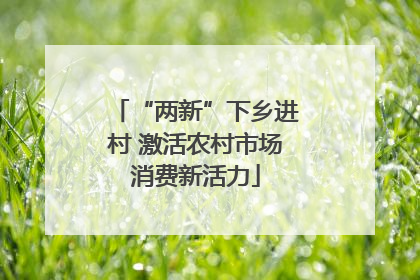 “两新”下乡进村 激活农村市场消费新活力