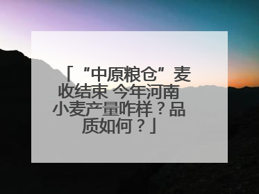 “中原粮仓”麦收结束 今年河南小麦产量咋样？品质如何？