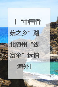 “中国香菇之乡”湖北随州“致富伞”远销海外