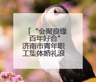 “会聚良缘 百年好合”济南市青年职工集体婚礼浪漫举行