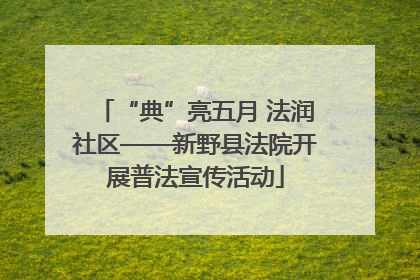 “典”亮五月 法润社区——新野县法院开展普法宣传活动