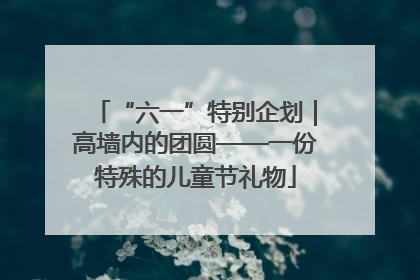 “六一”特别企划｜高墙内的团圆——一份特殊的儿童节礼物