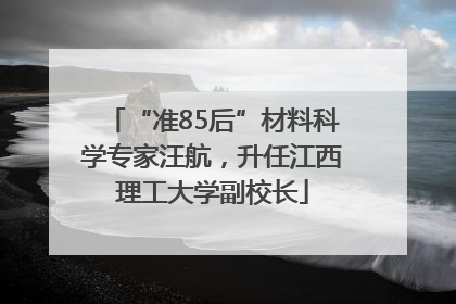 “准85后”材料科学专家汪航，升任江西理工大学副校长