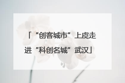 “创客城市”上虞走进“科创名城”武汉