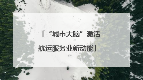 “城市大脑”激活航运服务业新动能