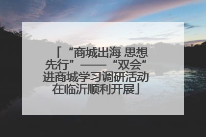 “商城出海 思想先行”——“双会”进商城学习调研活动在临沂顺利开展