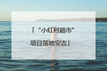 “小红村超市”项目落地安吉