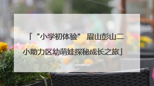 “小学初体验” 眉山彭山二小助力区幼萌娃探秘成长之旅
