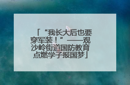 “我长大后也要穿军装！”——观沙岭街道国防教育点燃学子报国梦