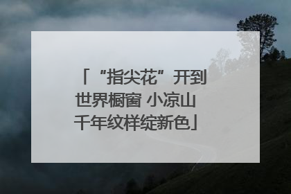 “指尖花”开到世界橱窗 小凉山千年纹样绽新色