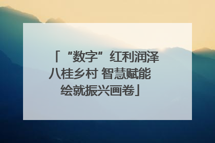 “数字”红利润泽八桂乡村 智慧赋能绘就振兴画卷