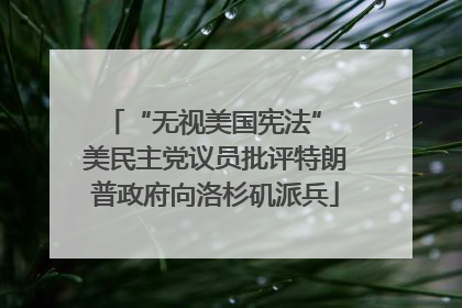“无视美国宪法” 美民主党议员批评特朗普政府向洛杉矶派兵