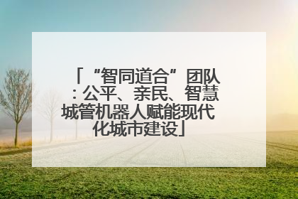 “智同道合”团队：公平、亲民、智慧城管机器人赋能现代化城市建设