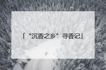 “沉香之乡”寻香记