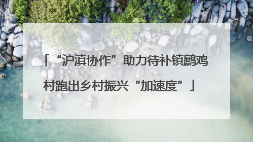 “沪滇协作”助力待补镇鹧鸡村跑出乡村振兴“加速度”