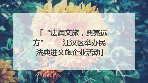 “法润文旅，典亮远方”——江汉区举办民法典进文旅企业活动