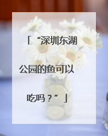 “深圳东湖公园的鱼可以吃吗？”