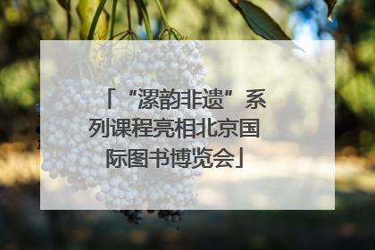 “漯韵非遗”系列课程亮相北京国际图书博览会