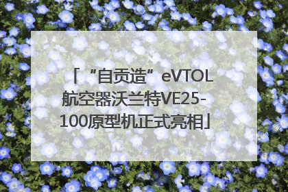 “自贡造”eVTOL航空器沃兰特VE25-100原型机正式亮相