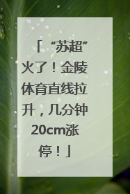 “苏超”火了！金陵体育直线拉升，几分钟20cm涨停！