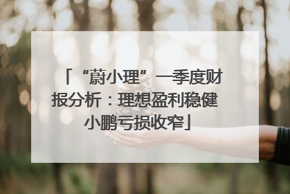 “蔚小理”一季度财报分析：理想盈利稳健 小鹏亏损收窄