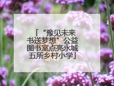 “豫见未来 书送梦想”公益图书室点亮永城五所乡村小学