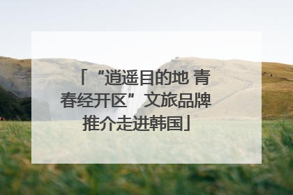 “逍遥目的地 青春经开区”文旅品牌推介走进韩国