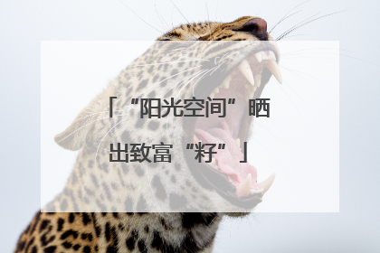 “阳光空间”晒出致富“籽”