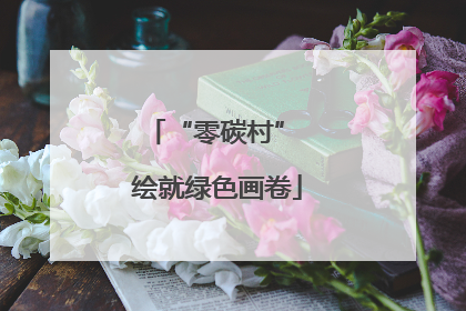 “零碳村” 绘就绿色画卷